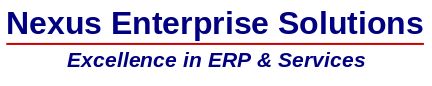 Nexus Enterprise Solutions,Inc